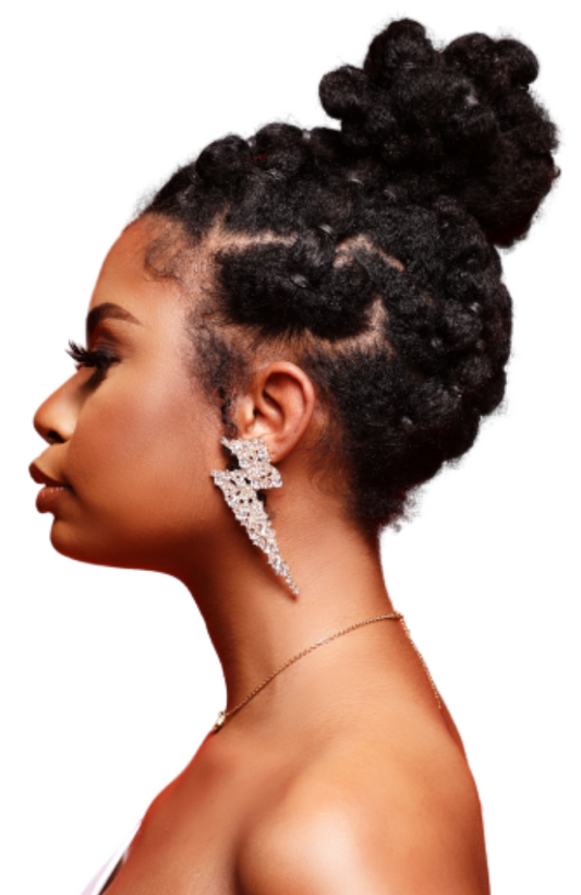 "Pow" Earrings